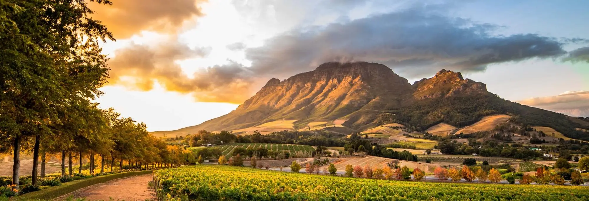 Mountain backdrop near Stellenbosch