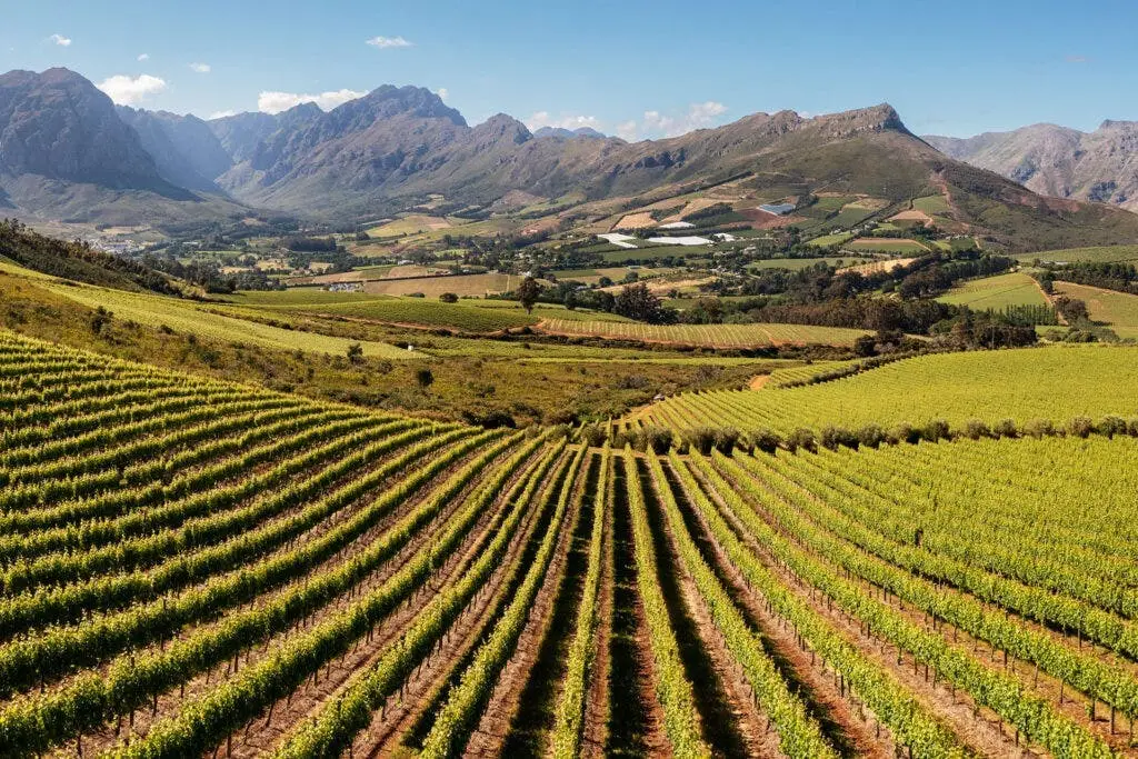 Cape Winelands landscape near Stellenbosch